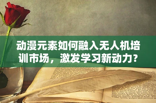 动漫元素如何融入无人机培训市场，激发学习新动力？