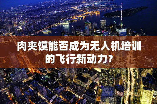 肉夹馍能否成为无人机培训的飞行新动力？