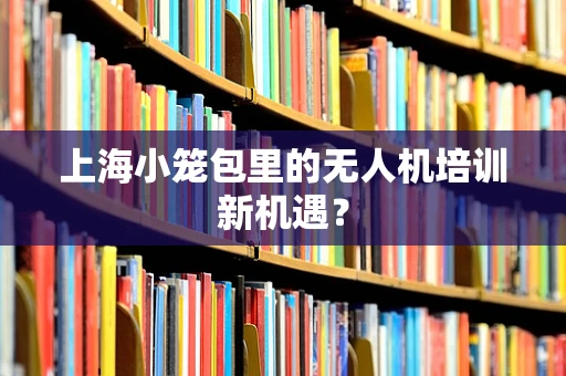 上海小笼包里的无人机培训新机遇？