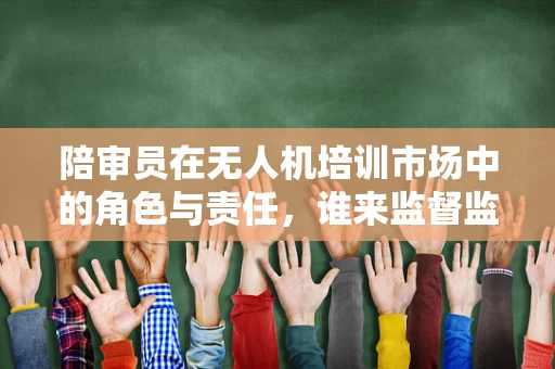陪审员在无人机培训市场中的角色与责任，谁来监督监督者？