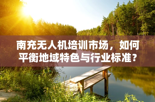 南充无人机培训市场，如何平衡地域特色与行业标准？