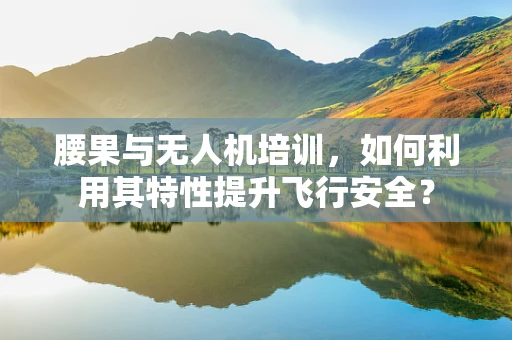 腰果与无人机培训，如何利用其特性提升飞行安全？