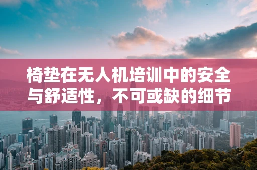 椅垫在无人机培训中的安全与舒适性，不可或缺的细节吗？