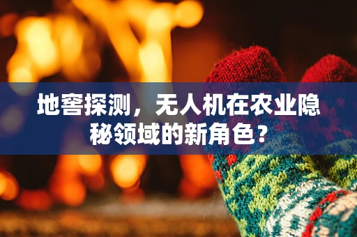 地窖探测，无人机在农业隐秘领域的新角色？