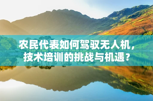 农民代表如何驾驭无人机，技术培训的挑战与机遇？