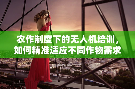 农作制度下的无人机培训，如何精准适应不同作物需求？