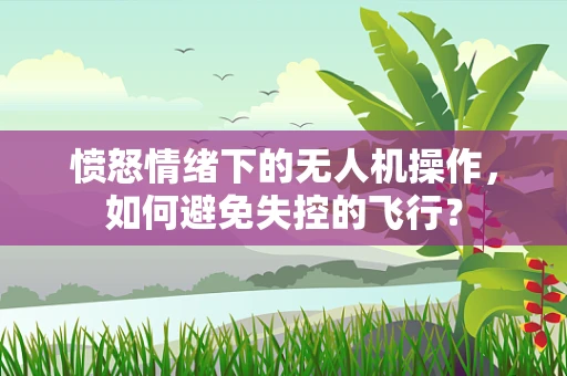 愤怒情绪下的无人机操作，如何避免失控的飞行？