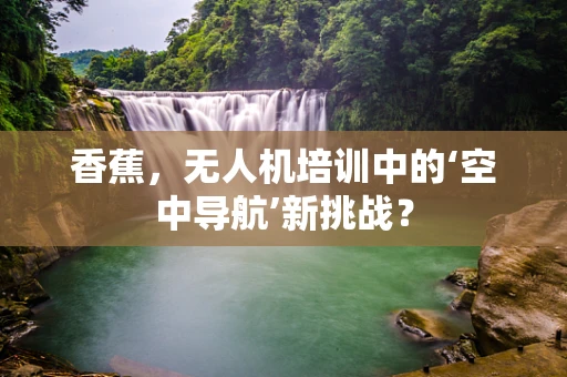 香蕉，无人机培训中的‘空中导航’新挑战？