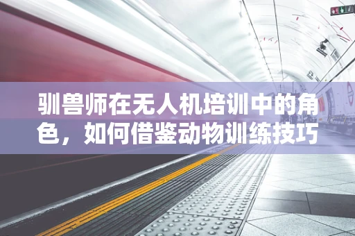 驯兽师在无人机培训中的角色，如何借鉴动物训练技巧提升操控技能？