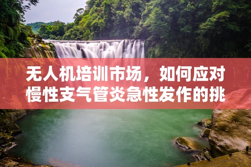 无人机培训市场，如何应对慢性支气管炎急性发作的挑战？