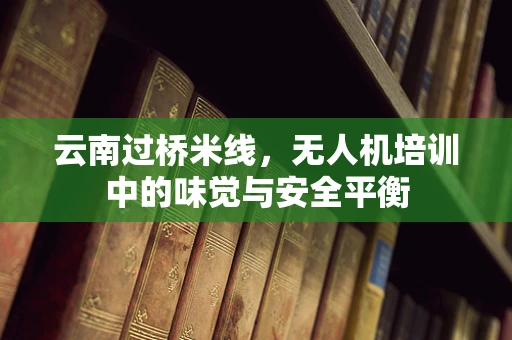 云南过桥米线，无人机培训中的味觉与安全平衡