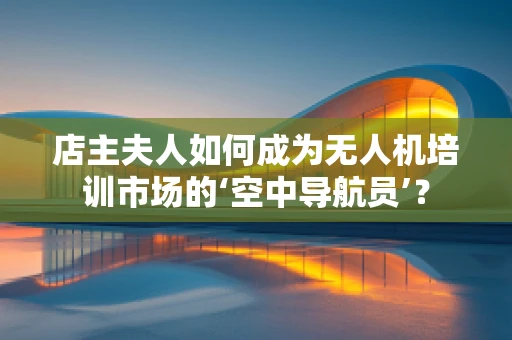 店主夫人如何成为无人机培训市场的‘空中导航员’？