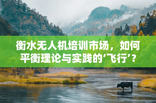 衡水无人机培训市场，如何平衡理论与实践的‘飞行’？