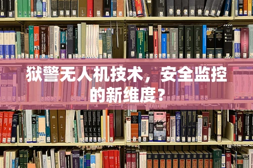 狱警无人机技术，安全监控的新维度？