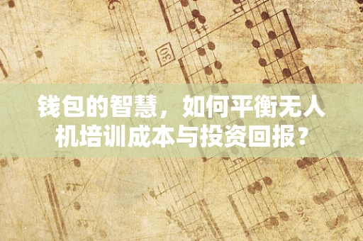钱包的智慧，如何平衡无人机培训成本与投资回报？