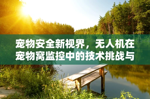 宠物安全新视界，无人机在宠物窝监控中的技术挑战与解决方案