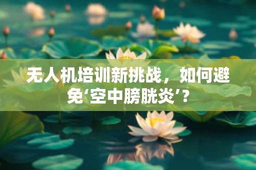 无人机培训新挑战，如何避免‘空中膀胱炎’？