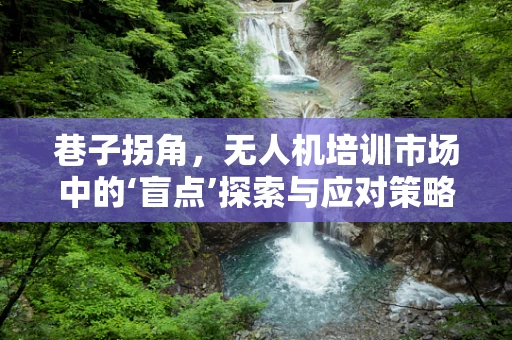 巷子拐角，无人机培训市场中的‘盲点’探索与应对策略