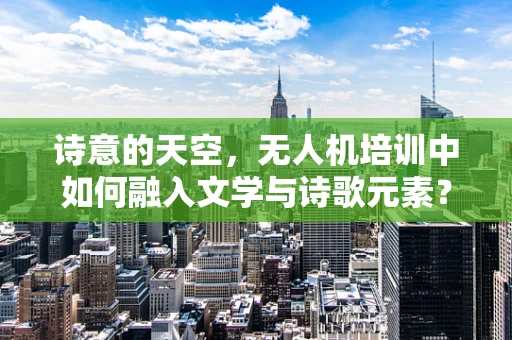 诗意的天空，无人机培训中如何融入文学与诗歌元素？