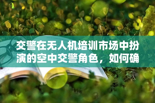 交警在无人机培训市场中扮演的空中交警角色，如何确保安全与合规？