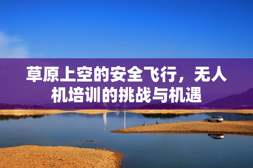 草原上空的安全飞行，无人机培训的挑战与机遇