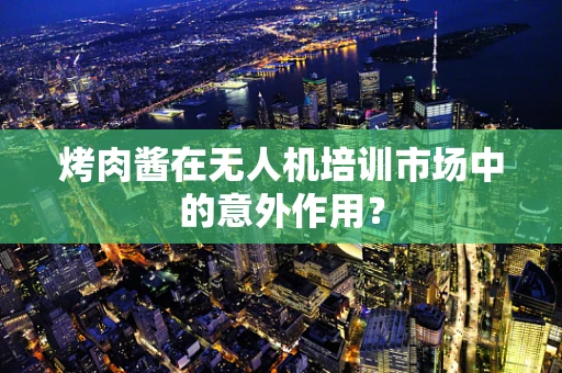烤肉酱在无人机培训市场中的意外作用？