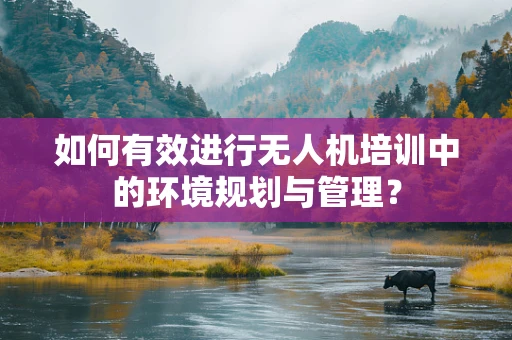 如何有效进行无人机培训中的环境规划与管理？