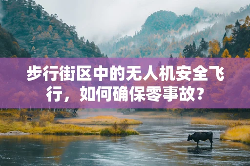 步行街区中的无人机安全飞行，如何确保零事故？