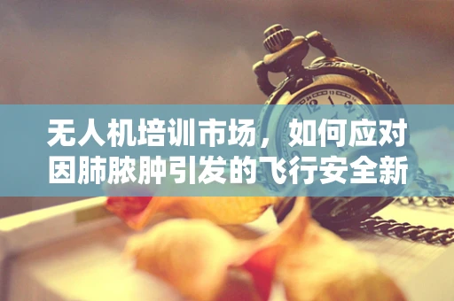 无人机培训市场，如何应对因肺脓肿引发的飞行安全新挑战？