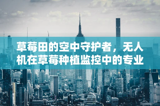 草莓田的空中守护者，无人机在草莓种植监控中的专业培训挑战