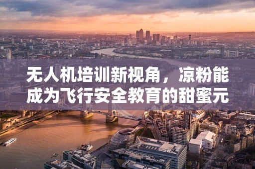 无人机培训新视角，凉粉能成为飞行安全教育的甜蜜元素吗？