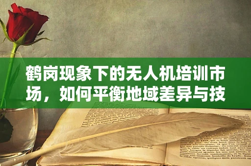 鹤岗现象下的无人机培训市场，如何平衡地域差异与技能普及？