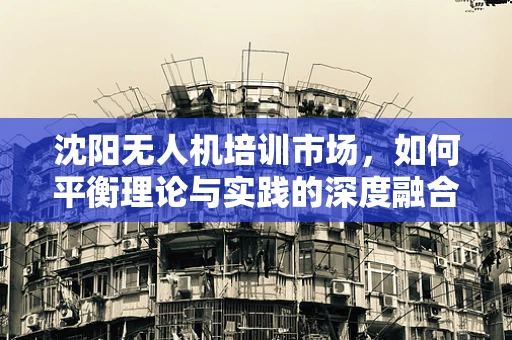 沈阳无人机培训市场，如何平衡理论与实践的深度融合？
