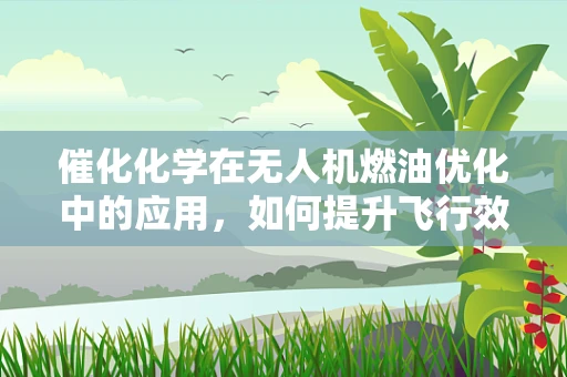 催化化学在无人机燃油优化中的应用，如何提升飞行效率？