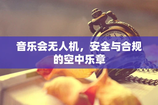 音乐会无人机，安全与合规的空中乐章