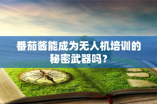 番茄酱能成为无人机培训的秘密武器吗？