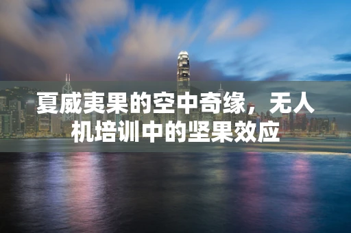 夏威夷果的空中奇缘，无人机培训中的坚果效应