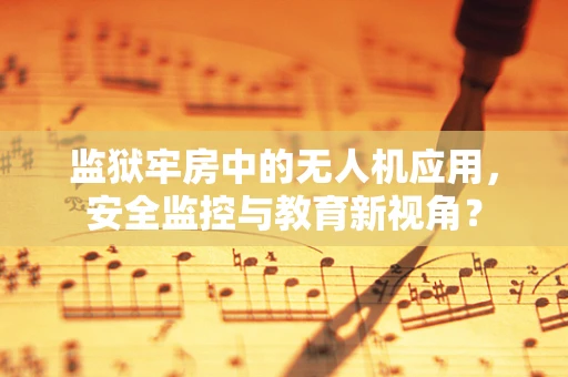 监狱牢房中的无人机应用，安全监控与教育新视角？