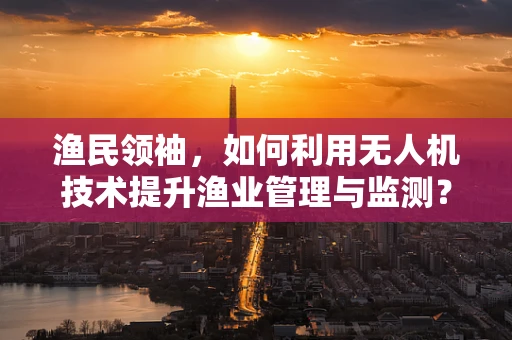 渔民领袖，如何利用无人机技术提升渔业管理与监测？