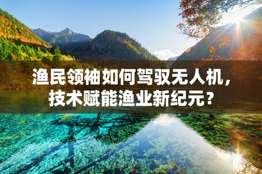 渔民领袖如何驾驭无人机，技术赋能渔业新纪元？