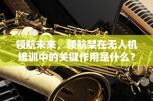 领航未来，领航架在无人机培训中的关键作用是什么？