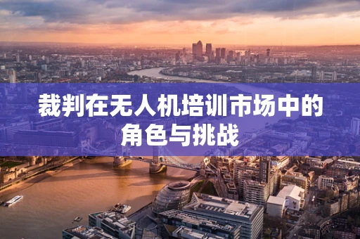 裁判在无人机培训市场中的角色与挑战