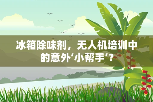 冰箱除味剂，无人机培训中的意外‘小帮手’？