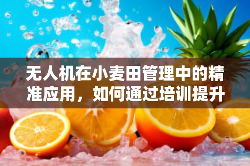 无人机在小麦田管理中的精准应用，如何通过培训提升农民的智能操控能力？