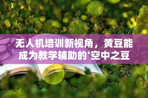 无人机培训新视角，黄豆能成为教学辅助的‘空中之豆’吗？