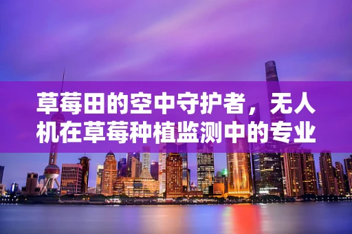 草莓田的空中守护者，无人机在草莓种植监测中的专业培训需求