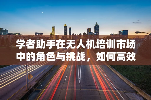 学者助手在无人机培训市场中的角色与挑战，如何高效辅助学习？