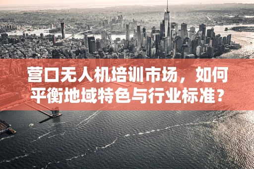 营口无人机培训市场，如何平衡地域特色与行业标准？