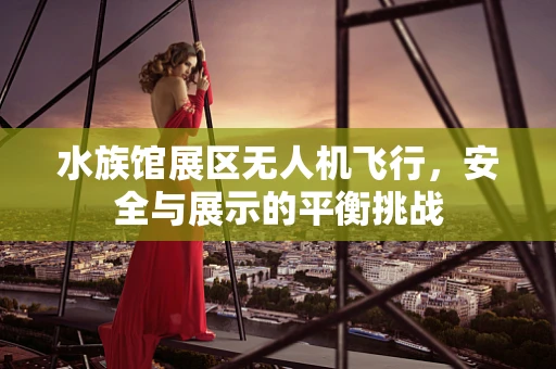 水族馆展区无人机飞行，安全与展示的平衡挑战
