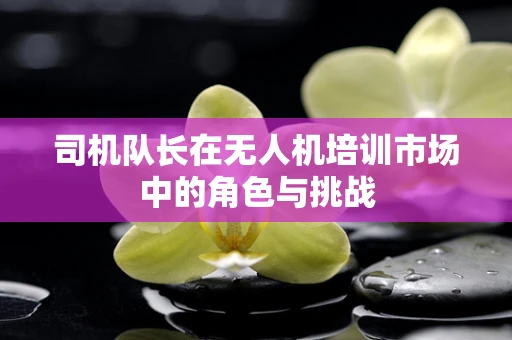 司机队长在无人机培训市场中的角色与挑战
